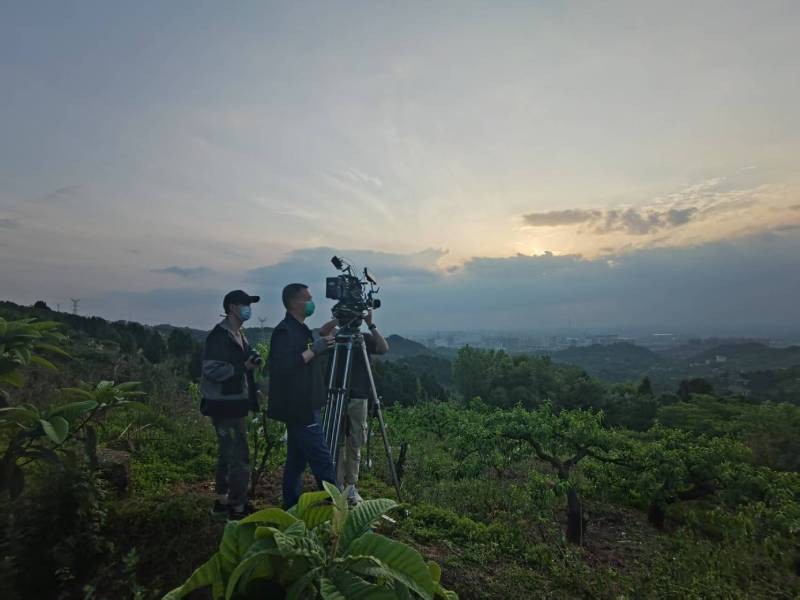 创意破圈！垦利县电商产品宣传视频用故事化叙事引爆流量