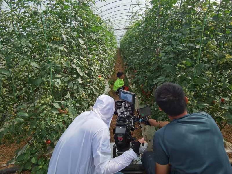 垦利县产品宣传视频拍摄公司进阶指南，助力品牌抢占传播高地